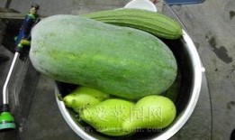 爱嘉哥吃瓜,揭秘娱乐圈那些不为人知的幕后故事