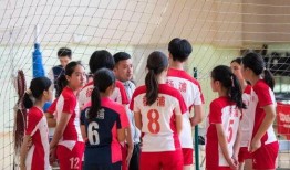 排球少年711吃瓜,揭秘赛场背后的瓜田秘事