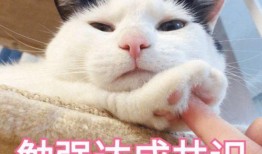 阿夸吃瓜表情包,网络时代的趣味社交新宠