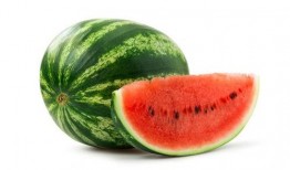 绍兴吃瓜大赛详情,吃瓜大赛狂欢，瓜王争霸一触即发！”