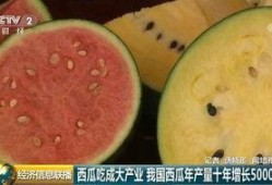 全球最大的吃瓜,全球最大“吃瓜群众”的狂欢盛宴