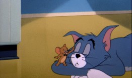 吃瓜表情包汤姆,揭秘网络红人的魅力与影响力