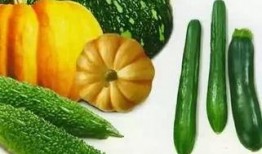 张莹吃瓜,揭秘娱乐圈幕后故事