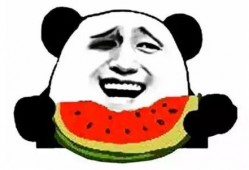 东营吃瓜群众,揭秘当地美食文化