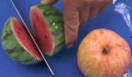 农林吃瓜,揭秘农业与林业中的趣味故事与奇闻异事