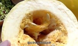 800粉丝吃瓜,吃瓜盛宴，揭秘娱乐圈幕后故事