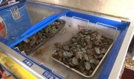 火锅店吃瓜事件