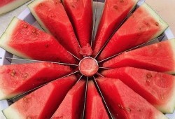 吃瓜大赛还是吃瓜比赛