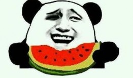 咚咚吃瓜的视频,揭秘娱乐圈幕后故事