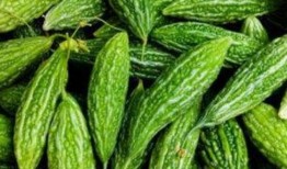 吃拉秧瓜能减肥吗,吃对方法，轻松瘦身！”