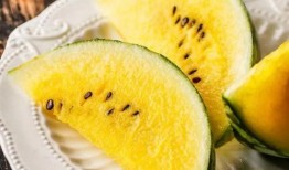 ot吃瓜,一场关于“吃瓜”的狂欢盛宴