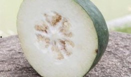 便秘吃籽瓜,轻松告别便秘困扰