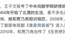 不许吃瓜系统,揭秘“不许吃瓜”背后的社会现象与心理解读