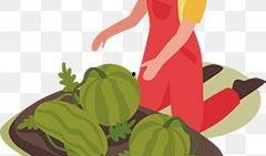 观众吃瓜黑影素材下载,观众素材下载背后的故事