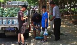 日喀则吃瓜群众,吃瓜群众的夏日生活剪影