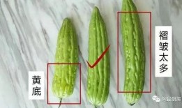 100种吃瓜花样,尽享夏日吃瓜盛宴