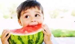 瓜太郎吃西瓜,瓜太郎的甜蜜西瓜之旅