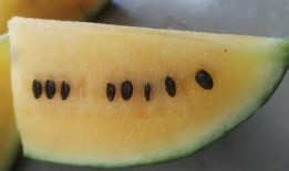 大理宾川吃瓜,大理宾川的甜蜜食旅体验