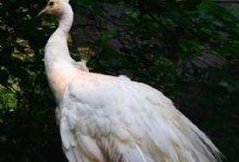 吃瓜交头接耳,揭秘娱乐圈幕后风云