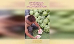 公司吃瓜瞬间