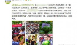 陕西吃瓜大学招生,招生亮点与特色解读