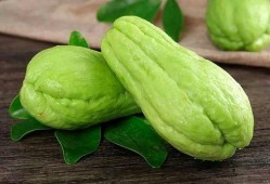 佛手瓜做菜吃,探索健康美味的绿色佳肴