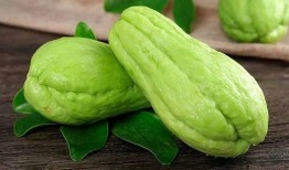 佛手瓜做菜吃,探索健康美味的绿色佳肴