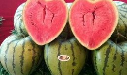 派对带你吃瓜