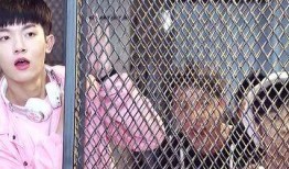 恋爱战队吃瓜,一场甜蜜的吃瓜盛宴