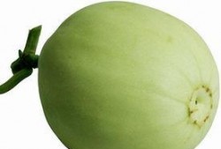 大梨瓜怎么吃,探索美味新境界