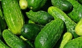 梦见吃八一瓜,揭秘八一瓜的神秘寓意