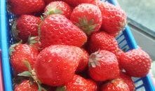 吃颗草莓瓜,甜蜜诱惑，舌尖上的夏日风情