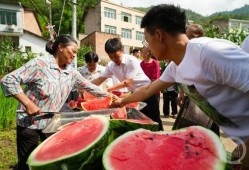吃瓜节西瓜视频,西瓜视频带你领略夏日清凉盛宴