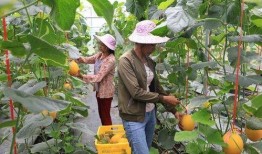 凉山网红吃瓜,揭秘网络红人的幕后生活