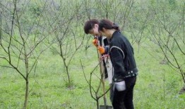 多人吃瓜头像男