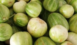 高原小圆瓜怎么吃,高原小圆瓜的多彩食法探索