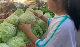 前进小学吃瓜,吃瓜乐趣多，校园生活添色彩