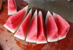 长沙吃瓜神经,揭秘城市生活百态的神经网络