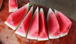 长沙吃瓜神经,揭秘城市生活百态的神经网络