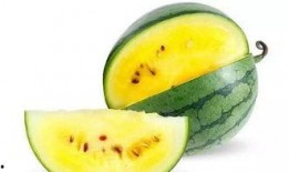 金牌吃瓜2,揭秘娱乐圈幕后风云