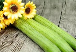 立秋了吃秋瓜,秋瓜养生正当时