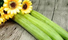 立秋了吃秋瓜,秋瓜养生正当时