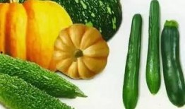 候瓜怎么吃,探索美味与营养的完美融合