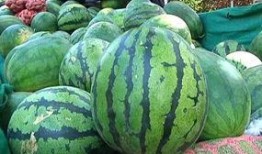 吃瓜看票,吃瓜群众视角下的投票风云