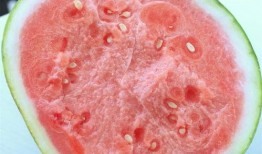 合肥吃瓜圈,揭秘本地热门话题与趣味事件