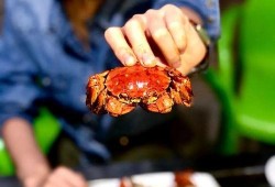 花好月圆吃瓜,一场别开生面的吃瓜盛宴