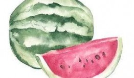 吃瓜要横着吃还是竖着吃,揭秘吃瓜的最佳姿势