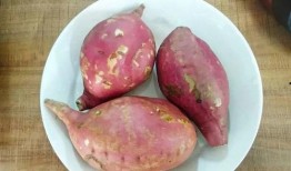 梦见吃瓜江红薯,瓜果飘香，红薯香浓的奇幻之旅