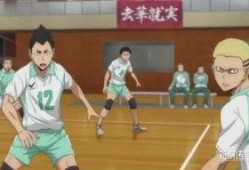 排球少年711吃瓜,揭秘赛场背后的瓜田秘事