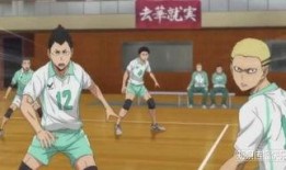 排球少年711吃瓜,揭秘赛场背后的瓜田秘事